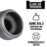 STZ Industries 1-1/2 in. MIP each Black Malleable Iron Plug