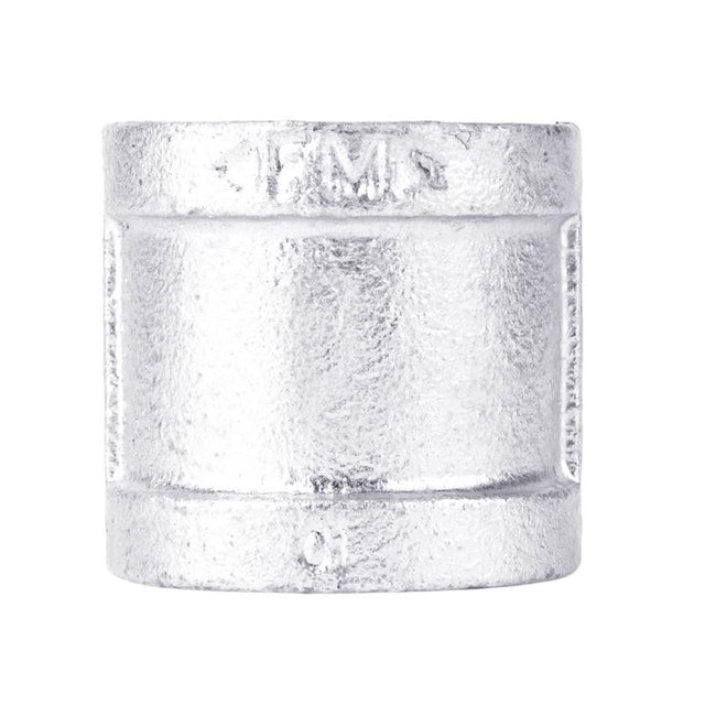 STZ Industries 1/8 in. FIP each X 1/8 in. D FIP Galvanized Malleable Iron Coupling