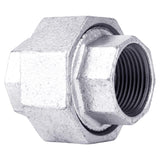 STZ Industries 1/4 in. FIP each X 1/4 in. D FIP Galvanized Malleable Iron Union