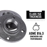 STZ Industries 1-1/2 in. FIP each Black Malleable Iron Floor Flange