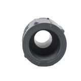 Charlotte Pipe 1/2 in. Slip X 1/2 in. D MPT PVC Adapter 1 pk