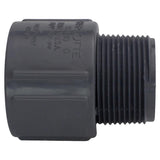Charlotte Pipe 3/4 in. Slip X 3/4 in. D MPT PVC Adapter 1 pk