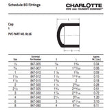 Charlotte Pipe Schedule 80 1-1/4 in. Slip PVC Cap 1 pk