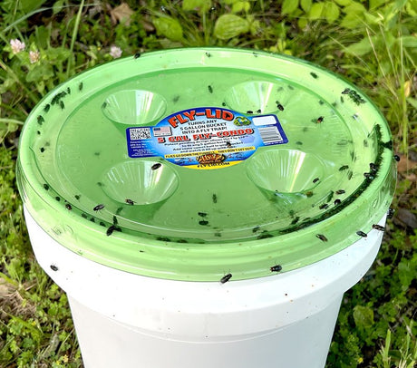 Billy Bob Products FLY LID Fly-Condo 41077 Fly Trap, Pack of 24