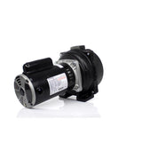 Wayne 2 HP 4200 gph Cast Iron Sprinkler Pump