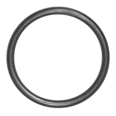 Danco 1-1/4 in. D X 1-1/16 in. D Rubber O-Ring 1 pk, Pack of 5