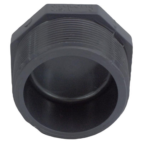 Charlotte Pipe Schedule 80 1/2 in. MPT X 1/2 in. D MPT PVC Threaded Plug 1 pk