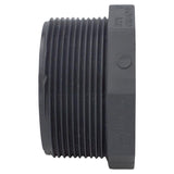 Charlotte Pipe Schedule 80 1/2 in. MPT X 1/2 in. D MPT PVC Threaded Plug 1 pk