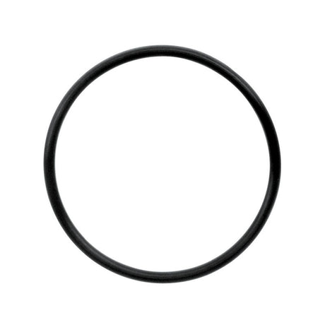 Danco 2-1/16 in. D X 1-7/8 in. D Rubber O-Ring 1 pk, Pack of 5