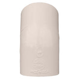 Charlotte Pipe FlowGuard 1 in. Slip X 1 in. D Slip CPVC Elbow