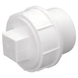 Charlotte Pipe Schedule 30 3 in. PVC Clean-Out Plug 1 pk