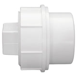 Charlotte Pipe Schedule 30 3 in. PVC Clean-Out Plug 1 pk