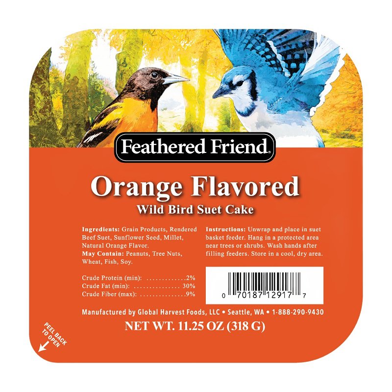 Feathered Friend 14371 Wild Bird Suet, Cake, Orange, Pack of 12
