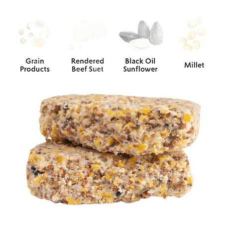 Feathered Friend 14371 Wild Bird Suet, Cake, Orange, Pack of 12