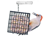 Feathered Friend 14371 Wild Bird Suet, Cake, Orange, Pack of 12