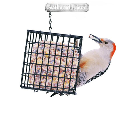 Feathered Friend 14371 Wild Bird Suet, Cake, Orange, Pack of 12