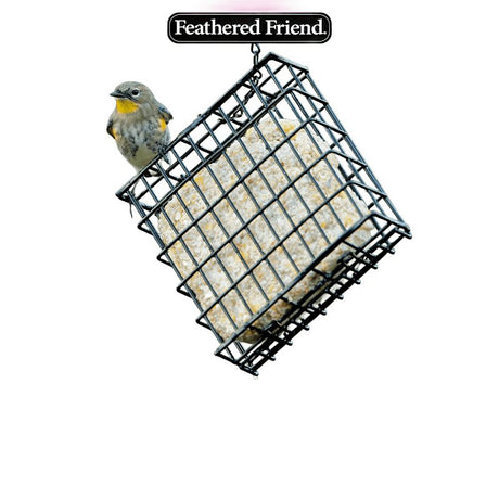 Feathered Friend 14374 Rendered Beef Suet Wild Bird Food, 11.75 oz, Suet, Berry, Pack of 12