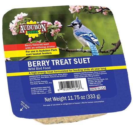 Feathered Friend 14374 Rendered Beef Suet Wild Bird Food, 11.75 oz, Suet, Berry, Pack of 12