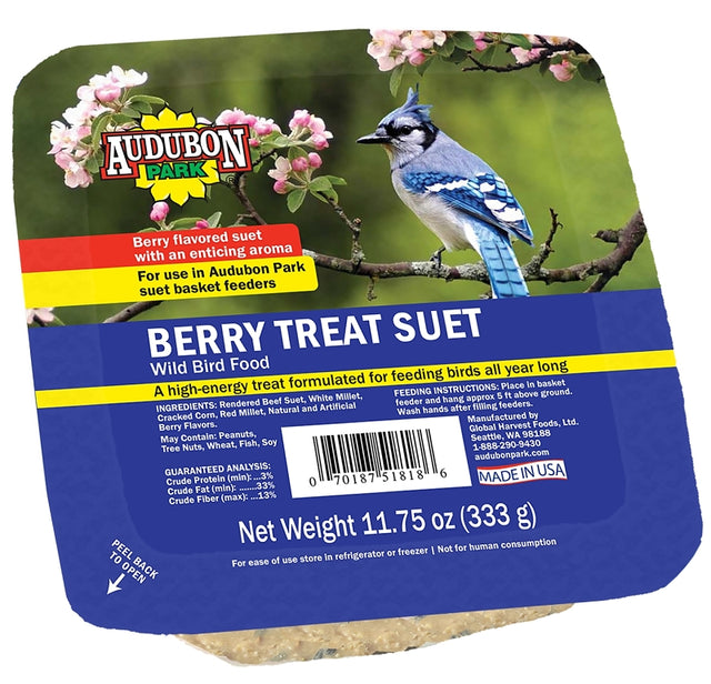 Feathered Friend 14374 Rendered Beef Suet Wild Bird Food, 11.75 oz, Suet, Berry, Pack of 12