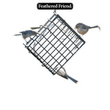 Feathered Friend 14372 Rendered Beef Suet Peanut Suet, 11 oz