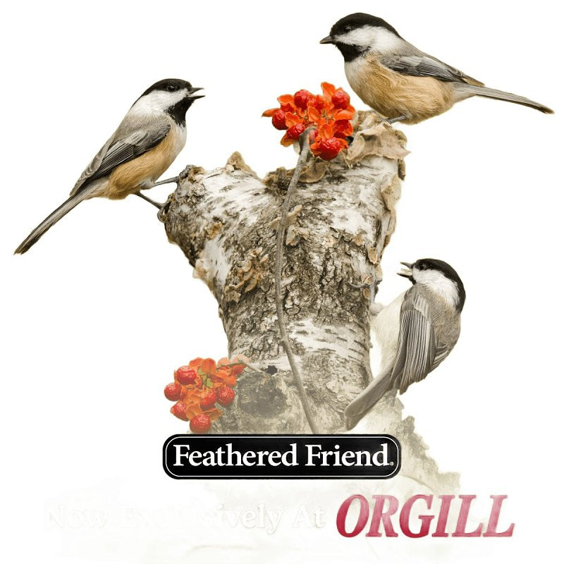 Feathered Friend 14372 Rendered Beef Suet Peanut Suet, 11 oz