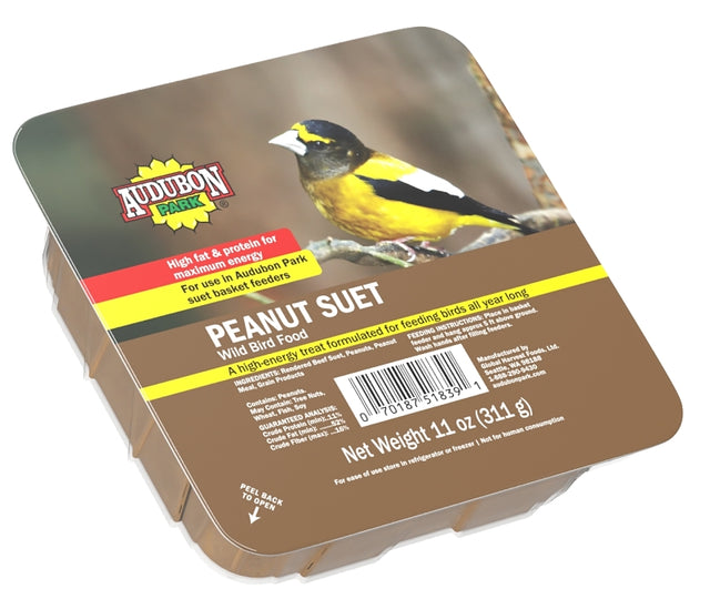 Feathered Friend 14372 Rendered Beef Suet Peanut Suet, 11 oz