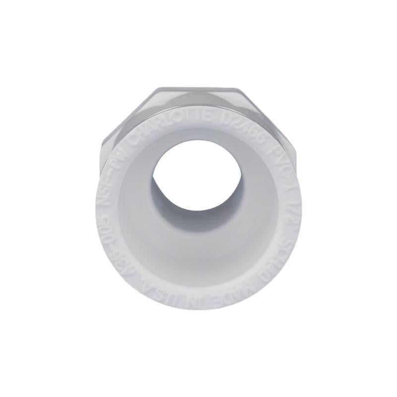 Charlotte Pipe Schedule 40 1/2 in. Slip X 1/2 in. D MPT PVC Pipe Adapter 1 pk, Pack of 25