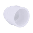 Charlotte Pipe Schedule 40 1-1/4 in. Slip X 1-1/4 in. D MPT PVC Pipe Adapter 1 pk, Pack of 25