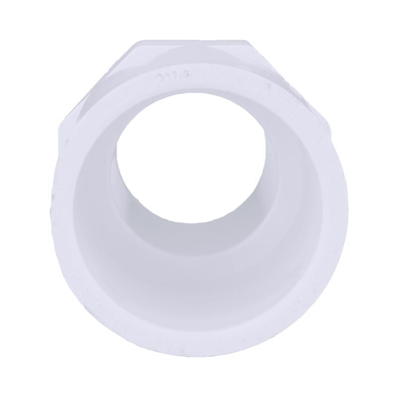 Charlotte Pipe Schedule 40 1-1/4 in. Slip X 1-1/4 in. D MPT PVC Pipe Adapter 1 pk, Pack of 25