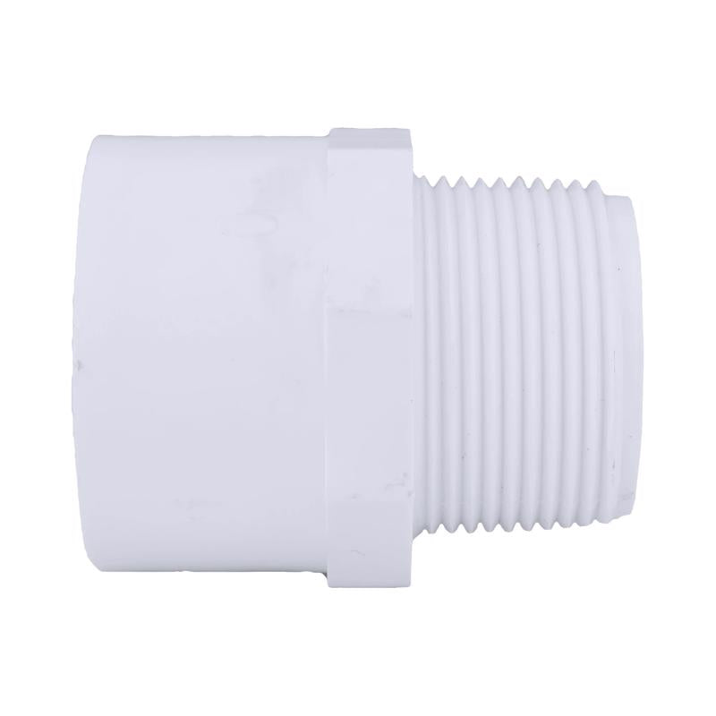 Charlotte Pipe Schedule 40 1-1/4 in. Slip X 1-1/4 in. D MPT PVC Pipe Adapter 1 pk, Pack of 25