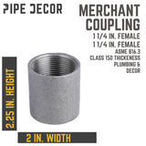 STZ Industries 1-1/4 in. FIP each X 1-1/4 in. D FIP Black Steel Coupling