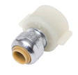 SharkBite Push to Connect 1/4 in. Push X 1/2 in. D FPT Brass Faucet Connector