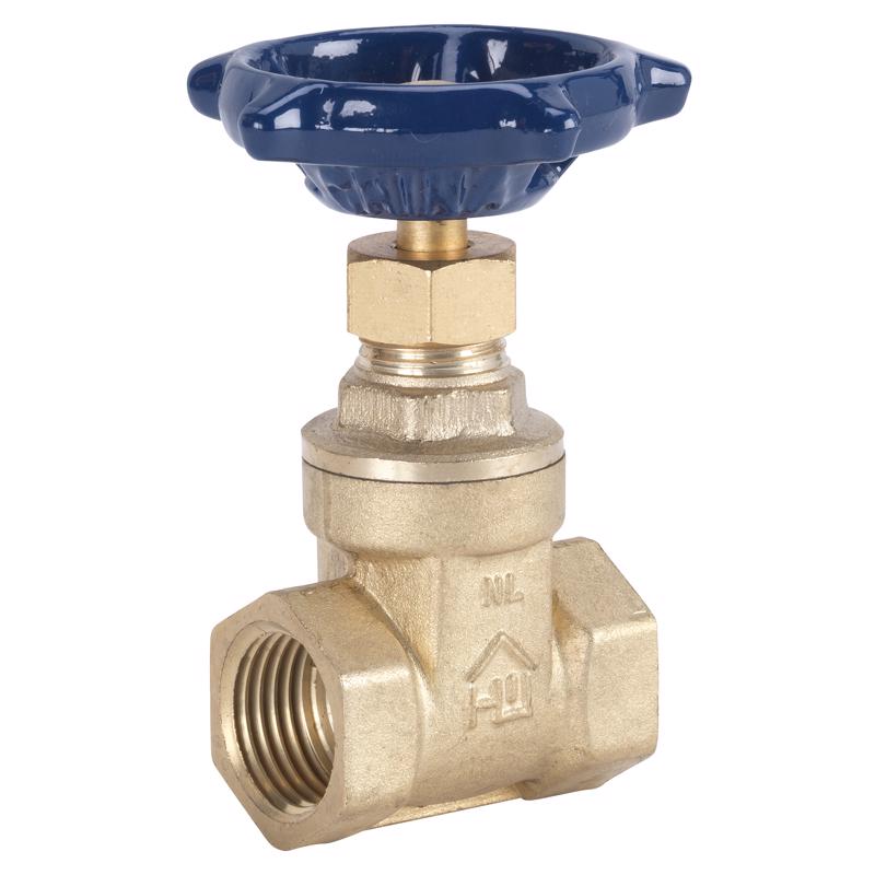 Homewerks 2 in. FIP Brass Gate Valve, Pack of 2