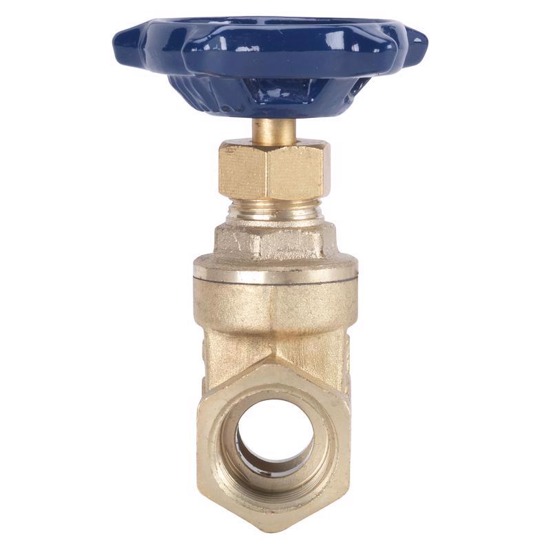 Homewerks 2 in. FIP Brass Gate Valve, Pack of 2