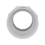 Charlotte Pipe Schedule 40 3/4 in. Slip X 3/4 in. D MPT PVC Pipe Adapter 10 pk