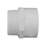 Charlotte Pipe Schedule 40 3/4 in. Slip X 3/4 in. D MPT PVC Pipe Adapter 10 pk