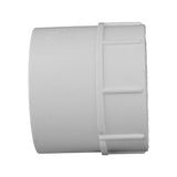 Charlotte Pipe Schedule 40 3/4 in. Slip X 3/4 in. D FPT PVC Pipe Adapter 1 pk