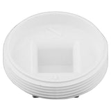 Charlotte Pipe Schedule 40 4 in. MPT X 4 in. D MPT PVC Clean-Out Plug 1 pk