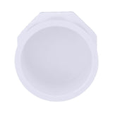 Charlotte Pipe Schedule 40 2 in. Spigot X 2 in. D Slip PVC Plug 1 pk