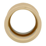 Charlotte Pipe FlowGuard 3/4 in. Slip X 3/4 in. D Slip CPVC Coupling 10 pk