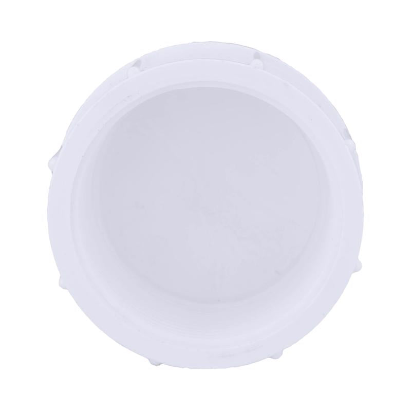 Charlotte Pipe Schedule 40 2 in. FPT X 2 in. D FPT PVC Cap 1 pk, Pack of 10