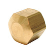 Dial 1/4 in. D Compression Brass Cap