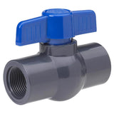 Homewerks 3/4 in. PVC FIP Ball Valve Full Port T-Handle