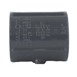 Charlotte Pipe Schedule 80 1/2 in. FPT X 1/2 in. D FPT PVC Coupling 1 pk
