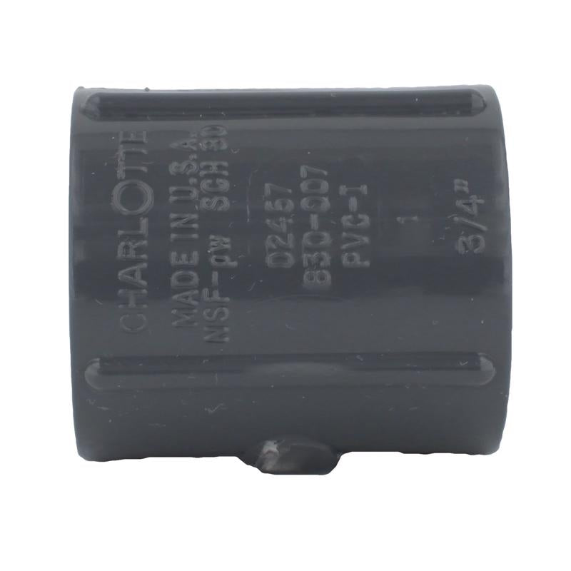 Charlotte Pipe Schedule 80 3/4 in. FPT X 3/4 in. D FPT PVC Coupling 1 pk