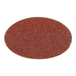 Coarse Cut 6″ Grip Disc, 80G