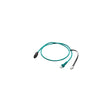 Mastervolt 77060050 Mastervolt CZone Drop Cable, 0.5m