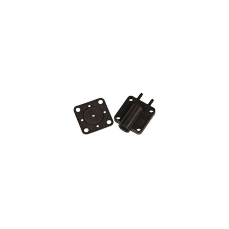 Cover & Gasket Assembly