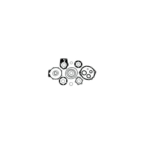 Borg-Warner Seal Kit