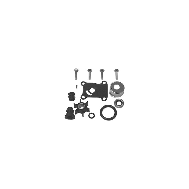 E/J WTR PUMPKIT 391698 55-235
